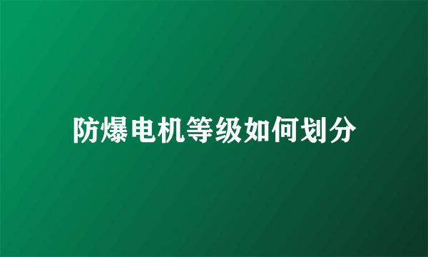 防爆电机等级如何划分