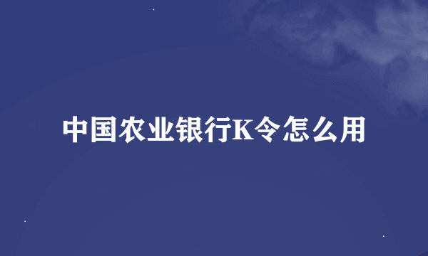 中国农业银行K令怎么用