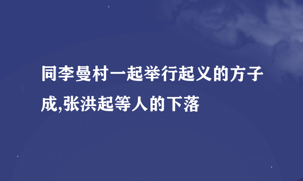 同李曼村一起举行起义的方子成,张洪起等人的下落