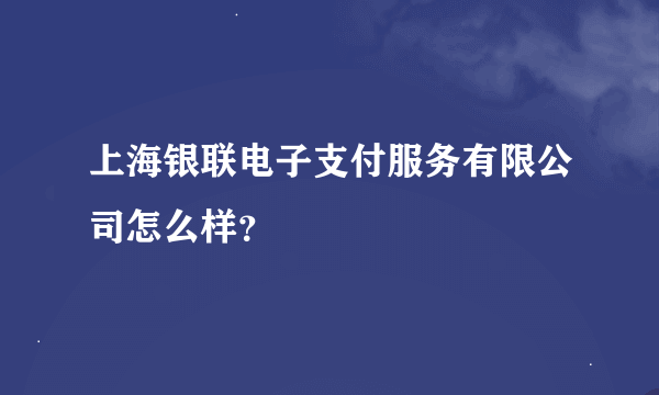 上海银联电子支付服务有限公司怎么样？