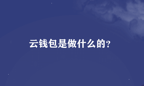 云钱包是做什么的？