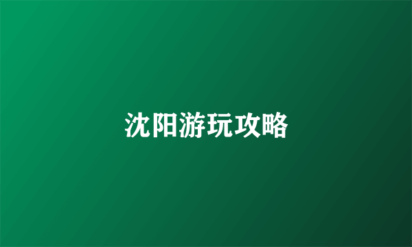 沈阳游玩攻略