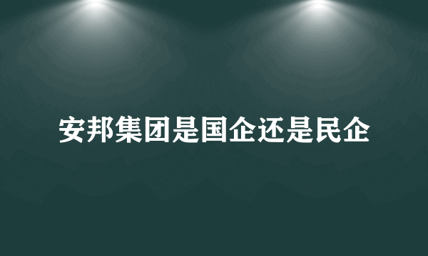 安邦集团是国企还是民企