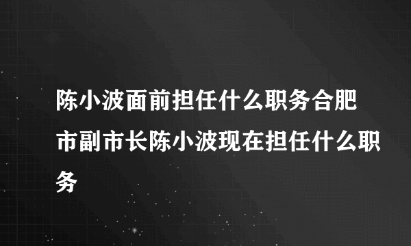 陈小波面前担任什么职务合肥市副市长陈小波现在担任什么职务