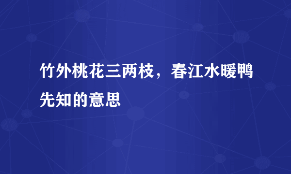 竹外桃花三两枝，春江水暖鸭先知的意思