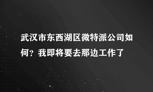 武汉市东西湖区微特派公司如何？我即将要去那边工作了