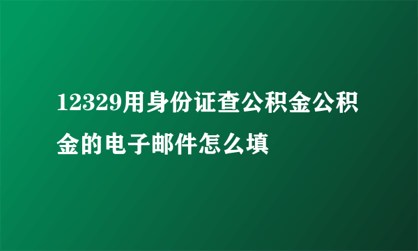 12329用身份证查公积金公积金的电子邮件怎么填