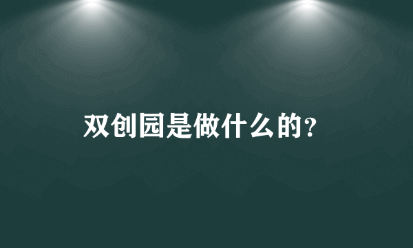 双创园是做什么的？