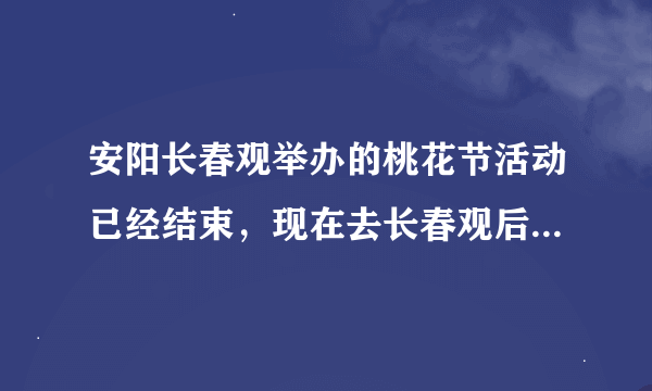 安阳长春观举办的桃花节活动已经结束，现在去长春观后山还有什么好玩的么？各位去过的朋友，请告知。