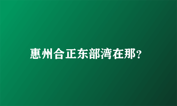 惠州合正东部湾在那？