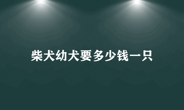 柴犬幼犬要多少钱一只