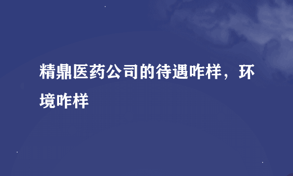 精鼎医药公司的待遇咋样，环境咋样