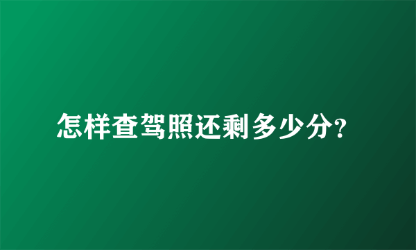 怎样查驾照还剩多少分？