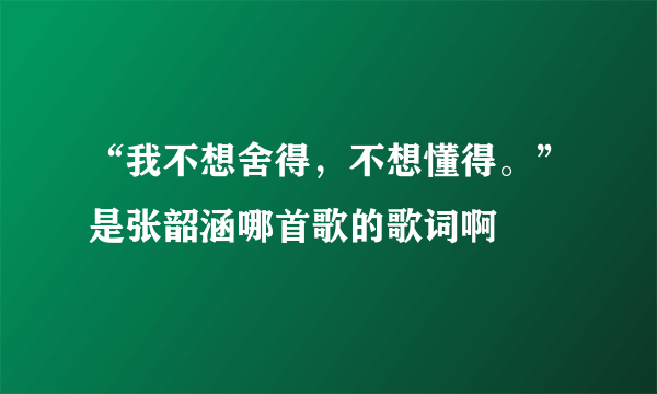 “我不想舍得，不想懂得。”是张韶涵哪首歌的歌词啊