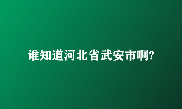 谁知道河北省武安市啊?