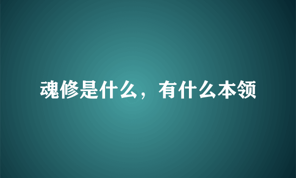 魂修是什么，有什么本领