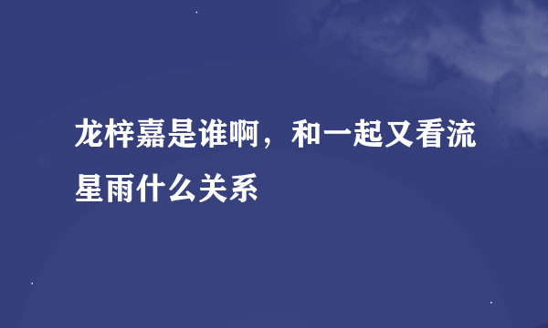 龙梓嘉是谁啊，和一起又看流星雨什么关系