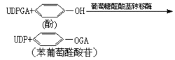 什么是生物转化及作用