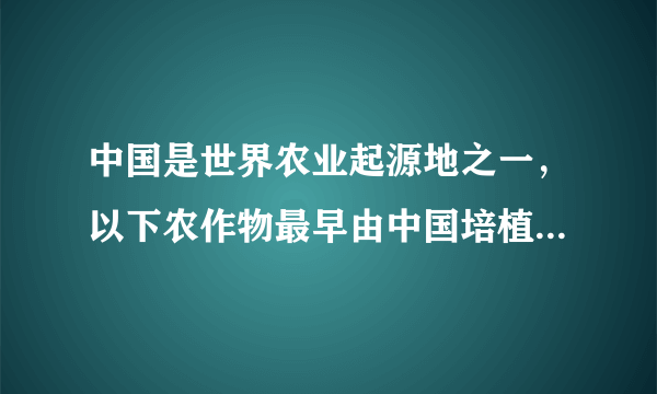 中国是世界农业起源地之一，以下农作物最早由中国培植的是  ①粟   ②水稻   ③玉米  ...