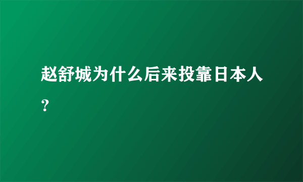 赵舒城为什么后来投靠日本人？