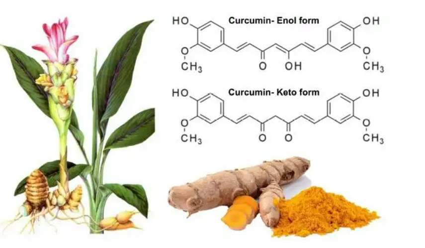 姜黄素是什么东西?
