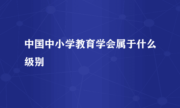 中国中小学教育学会属于什么级别