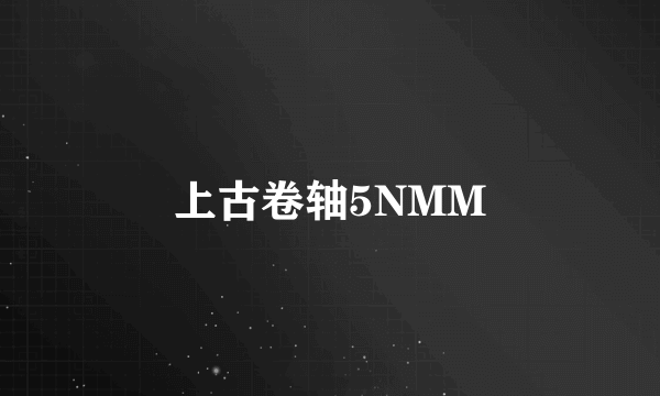 上古卷轴5NMM