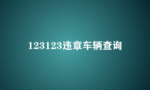 123123违章车辆查询