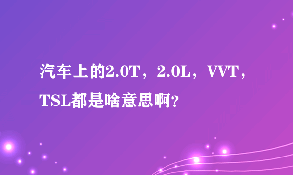 汽车上的2.0T，2.0L，VVT，TSL都是啥意思啊？