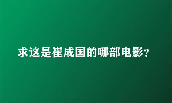 求这是崔成国的哪部电影？