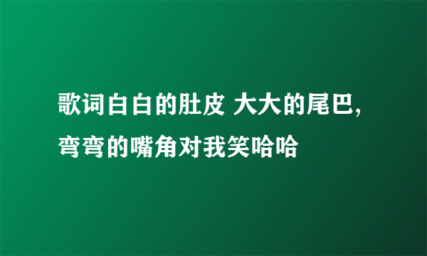 歌词白白的肚皮 大大的尾巴,弯弯的嘴角对我笑哈哈