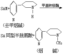 什么是生物转化及作用