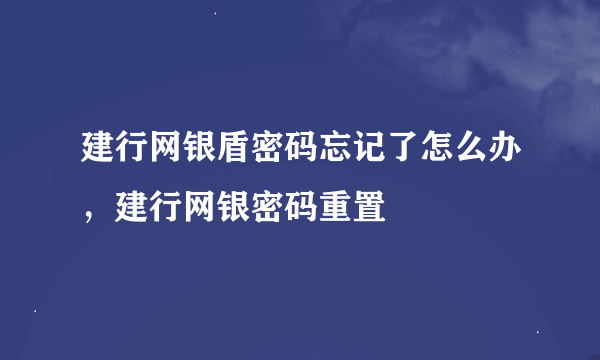 建行网银盾密码忘记了怎么办，建行网银密码重置