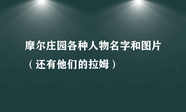 摩尔庄园各种人物名字和图片（还有他们的拉姆）