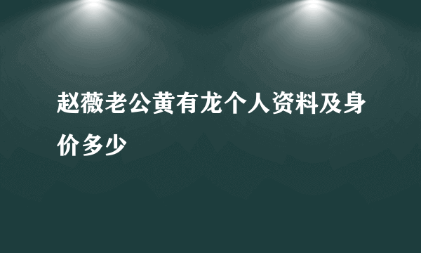 赵薇老公黄有龙个人资料及身价多少