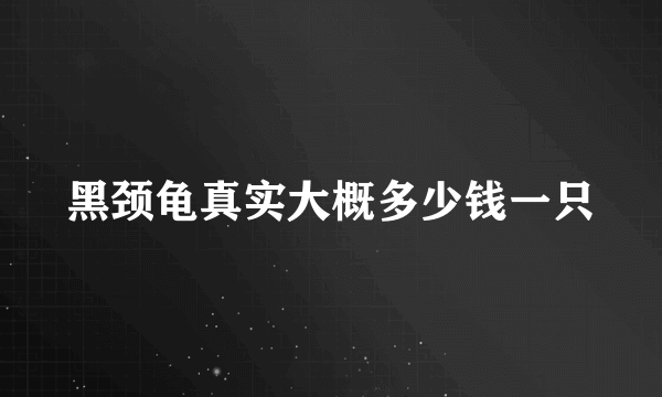 黑颈龟真实大概多少钱一只