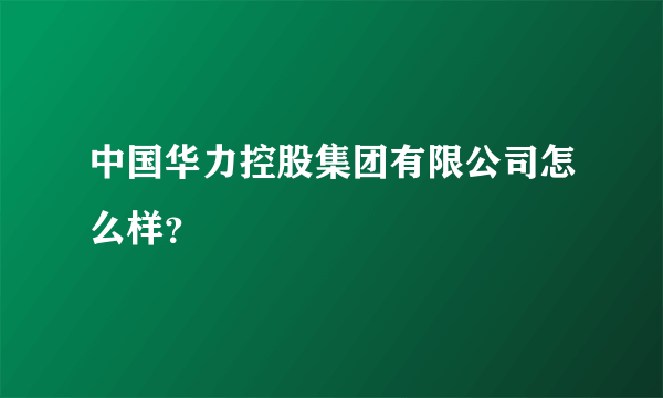 中国华力控股集团有限公司怎么样？