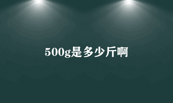 500g是多少斤啊