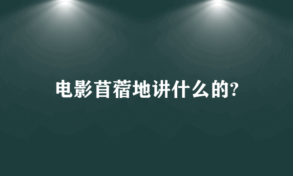 电影苜蓿地讲什么的?