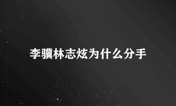 李骥林志炫为什么分手