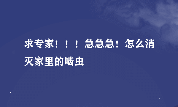 求专家！！！急急急！怎么消灭家里的啮虫