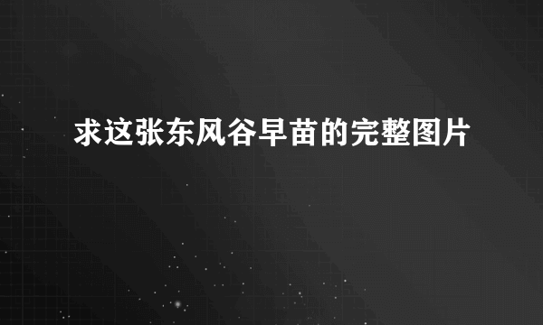 求这张东风谷早苗的完整图片