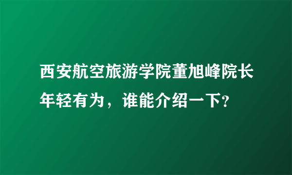 西安航空旅游学院董旭峰院长年轻有为，谁能介绍一下？