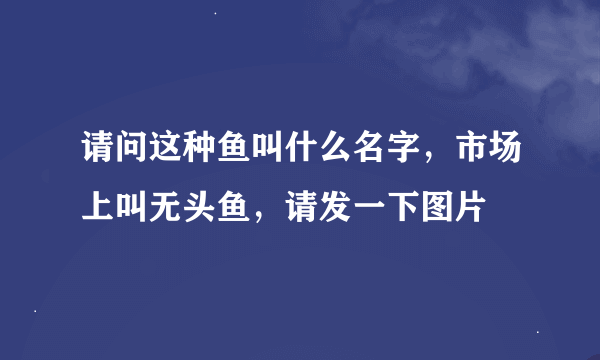 请问这种鱼叫什么名字，市场上叫无头鱼，请发一下图片