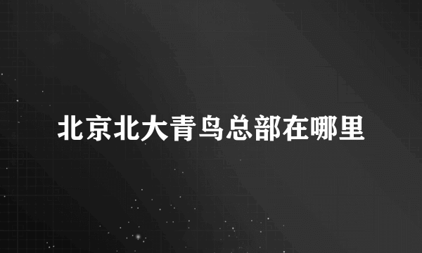 北京北大青鸟总部在哪里