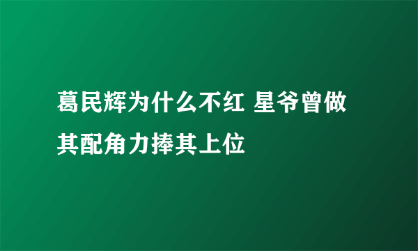 葛民辉为什么不红 星爷曾做其配角力捧其上位