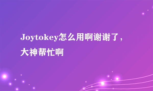 Joytokey怎么用啊谢谢了，大神帮忙啊