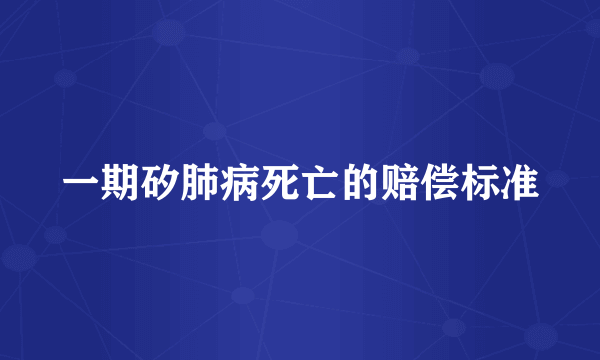 一期矽肺病死亡的赔偿标准