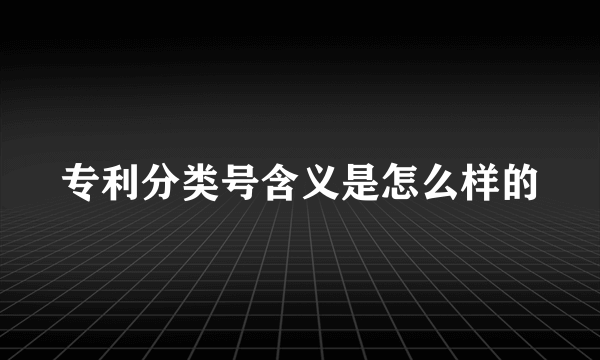 专利分类号含义是怎么样的