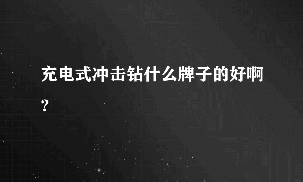 充电式冲击钻什么牌子的好啊？